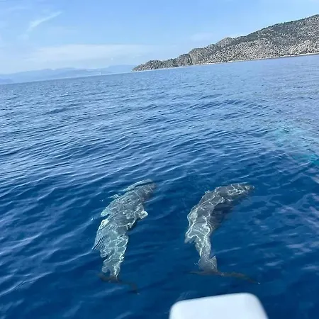 Nisida & Meditation Center - Adult Only Πανσιόν Ano Fanari