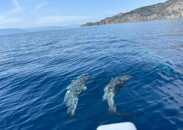 Nisida & Meditation Center - Adult Only Pensión Ano Fanari